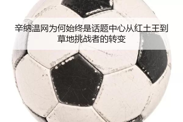 辛纳温网为何始终是话题中心从红土王到草地挑战者的转变